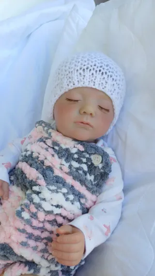 Bebé Reborn (nuevo)