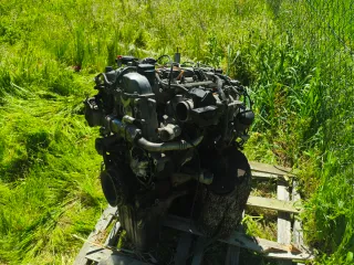Motor SsangYong Actyon 2.0 D gripado pero completo