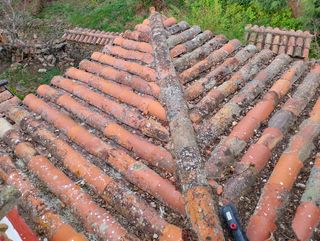 Limpieza y reparación de tejados Calatayud