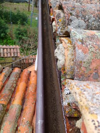 Limpieza y reparación de tejados Calatayud