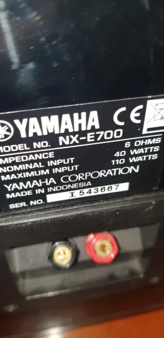 Yamaha NX-E700 dos altavoces