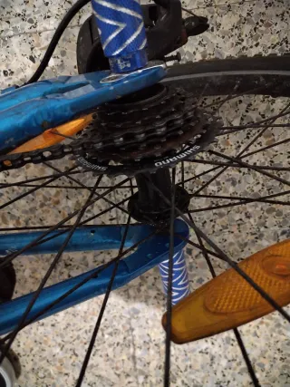 Bicicleta Trek MT60 Azul