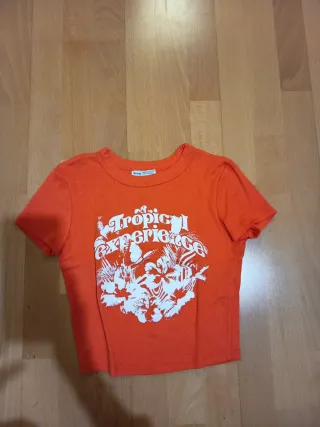 Lote 2 Camisetas Niña Bershka