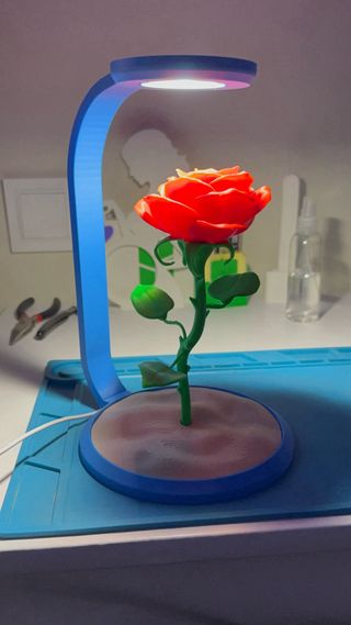 Impresiones 3D , personalizadas