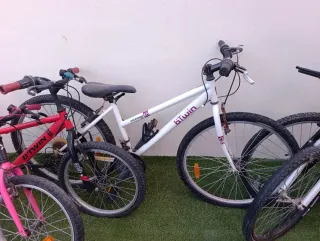 Lote de 5 Bicicletas Infantiles y Adulto