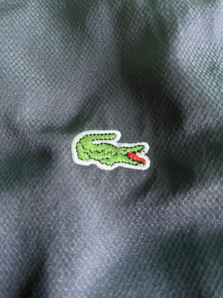 Cortavientos Lacoste Negro y Verde