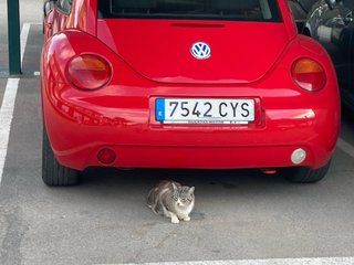 Volkswagen New beetle 2004
