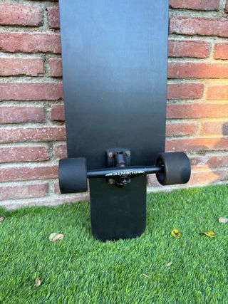 LongBoard Burton Family Tree ( Coleccionita )