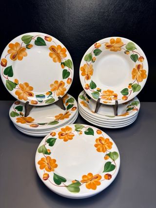 Servizio Piatti Ginori Mondovì Fiori Arancio