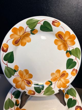 Servizio Piatti Ginori Mondovì Fiori Arancio
