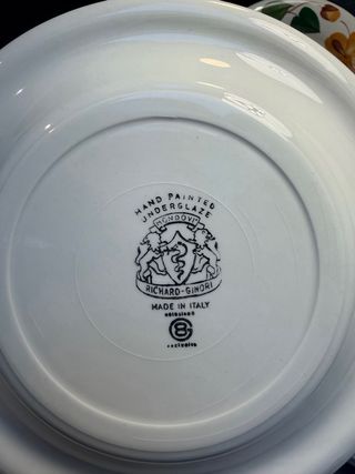 Servizio Piatti Ginori Mondovì Fiori Arancio