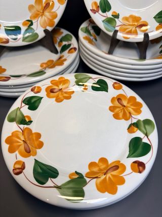 Servizio Piatti Ginori Mondovì Fiori Arancio