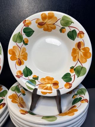 Servizio Piatti Ginori Mondovì Fiori Arancio