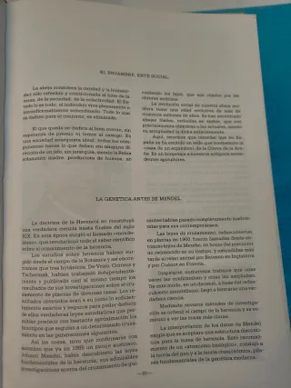 Libro de apicultura