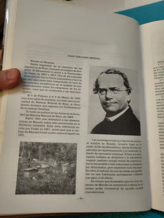 Libro de apicultura