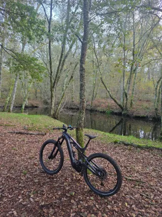 BIANCHI e-VERTIC FX-Type Pro NX/GX 12