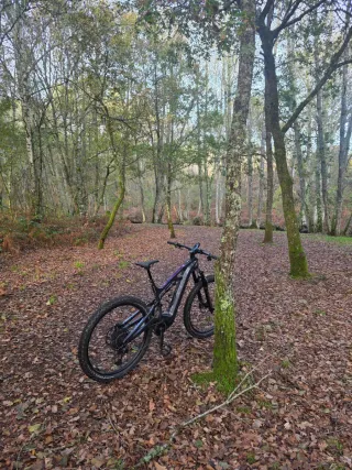 BIANCHI e-VERTIC FX-Type Pro NX/GX 12