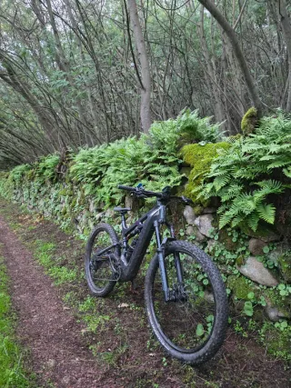 BIANCHI e-VERTIC FX-Type Pro NX/GX 12