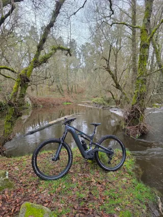 BIANCHI e-VERTIC FX-Type Pro NX/GX 12