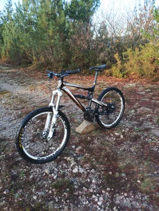 Lapierre Spicy 316
