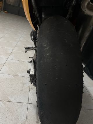 Honda CBR 600 Circuito