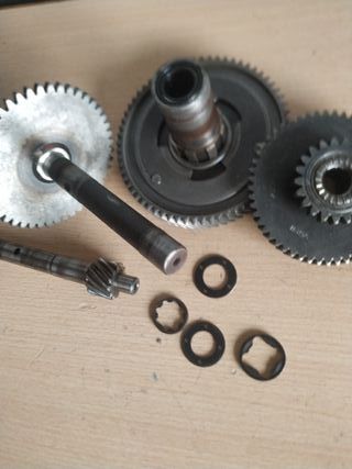 Juego piñones cárter derbi variant pedales