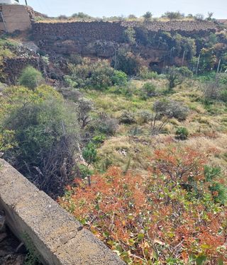 Finca rustica en el Escobonal.Guimar.