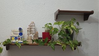 Muebles de comedor de madera y cristal