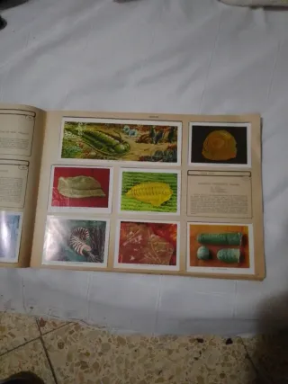 153 Cromos Álbum Geo-Ciencias