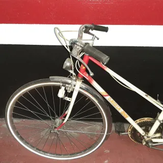 Bicicleta BH Gacela Clásica