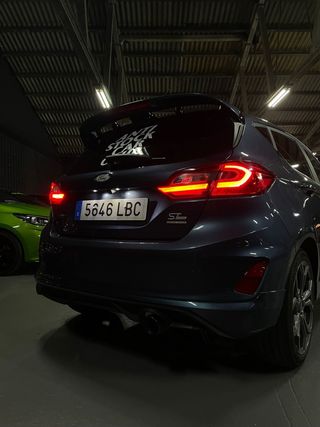 Alerón Ford Fiesta Roger