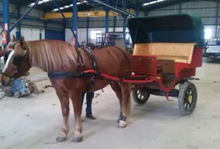 Charret restaurado4 personas