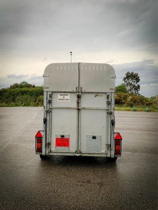 Remolque caballos Ifor Williams HB505 Classic