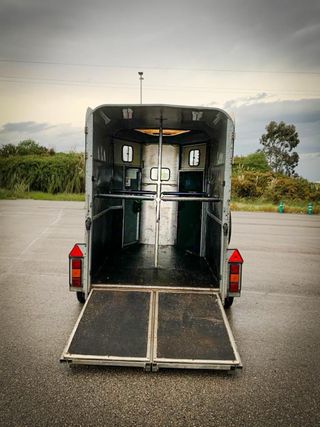 Remolque caballos Ifor Williams HB505 Classic