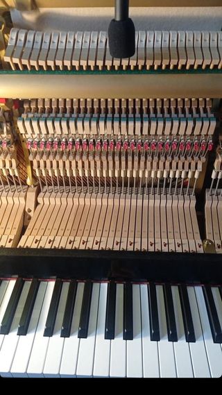 MENTORIA ARTISTICA / CLASES DE GUITARRA ONLINE