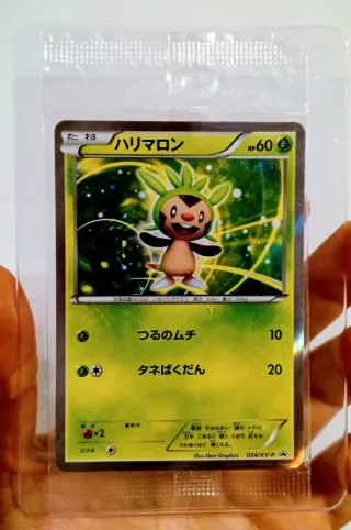 Chespin (XY-P 034) sealed
