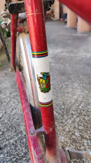 Cuadro Bicicleta Antigua Orbea