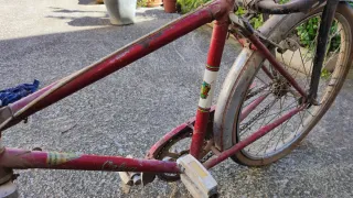 Cuadro Bicicleta Antigua Orbea