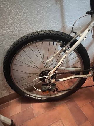 Bicicleta Orbea Adulto