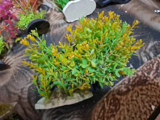 Plantas artificiales para acuario