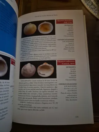 Guía de las Conchas Marinas de Huelva