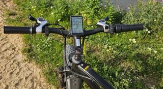 Bicicleta eléctrica 1000W Fat Bike