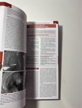 Greenbook Digestivo Dtm