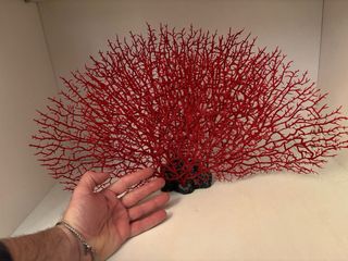 Decoración Acuario variados