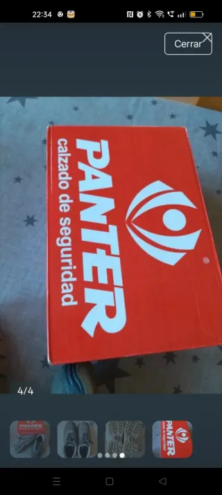 Zapatos de seguridad Panter