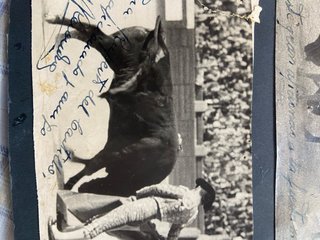 Colección Taurina Fotos Firmadas Postales Antiguas