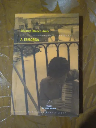 A esmorga (Biblioteca Blanco Amor) (Galician Ed...