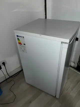 Nevera pequeña blanca Teka