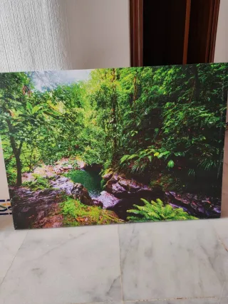 Reproducción Arroyo Forestal