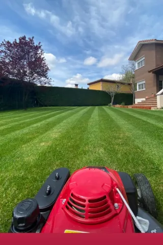 JARDINERO ECONÓMICO